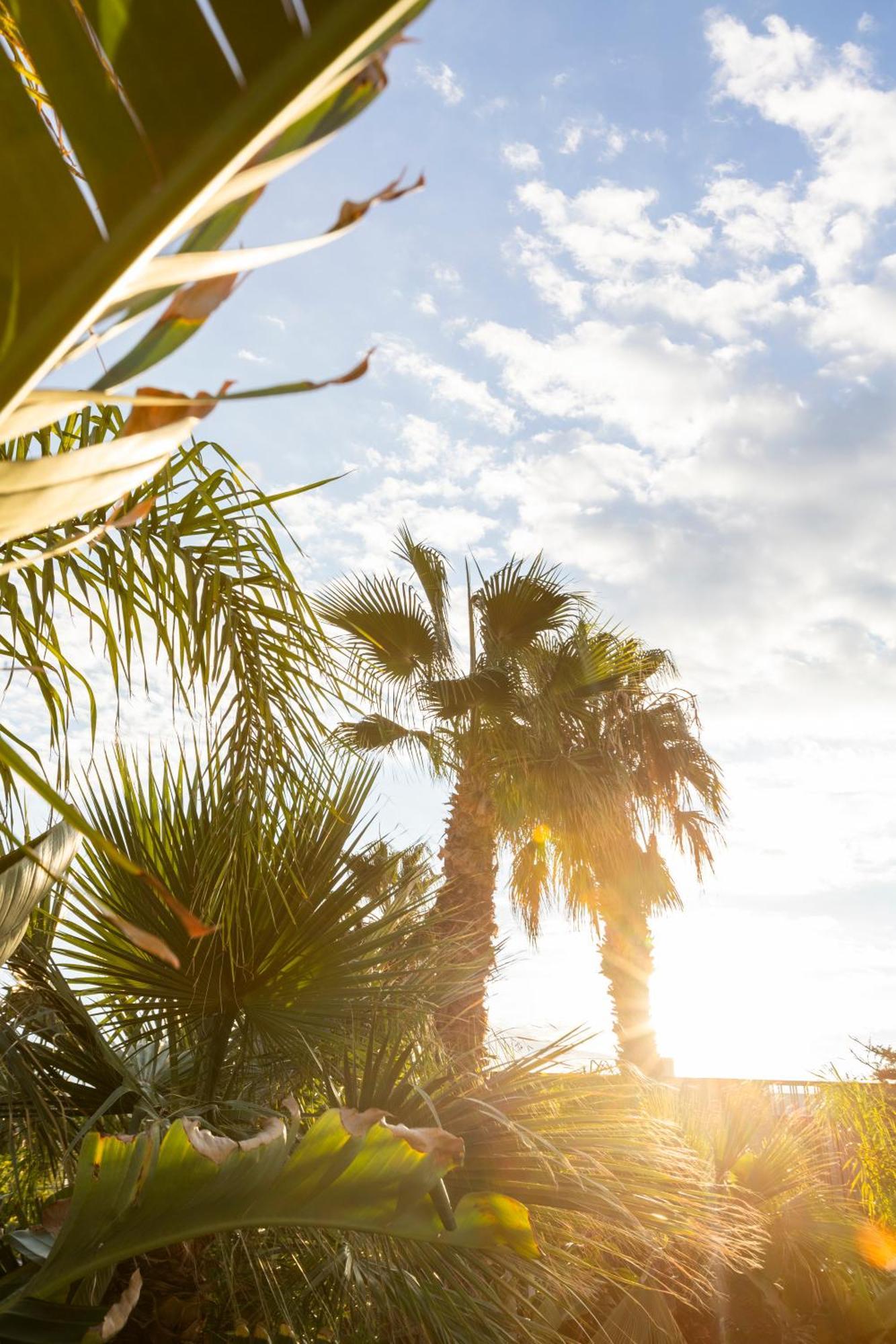 Albades Hotel & Spa (Adults Only) Benicàssim Zewnętrze zdjęcie